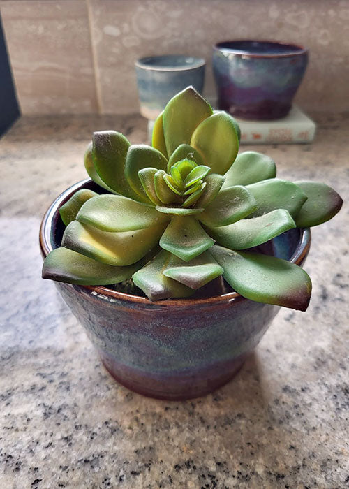 Second Life: Creative Ways to Reuse Your Candle Pots