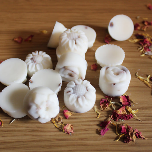 Cedarwood & Jasmine Botanical Wax Melts — Infused with White Willow Bark (Pack of 14)