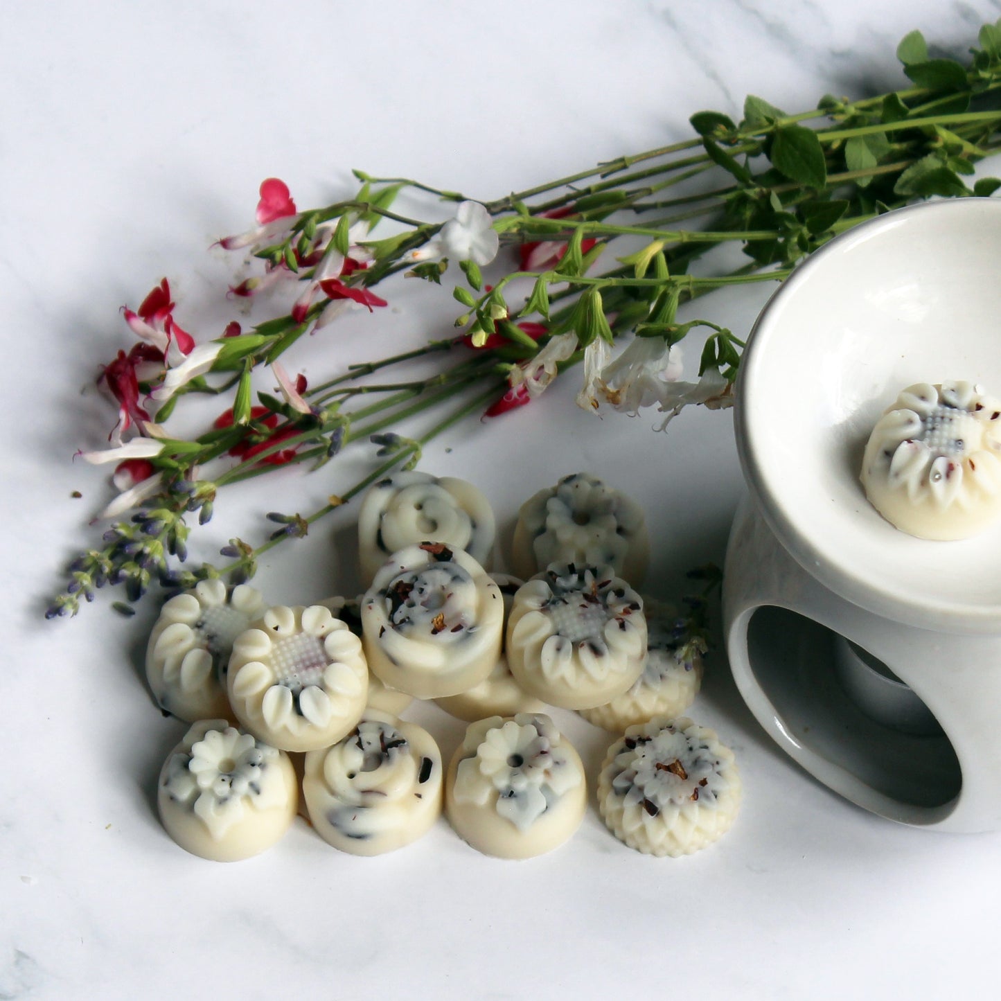 Botanical Soy Wax Melts Wild Fig & Cassis | Pack of 14 | Hand-Poured | Handmade in Sussex